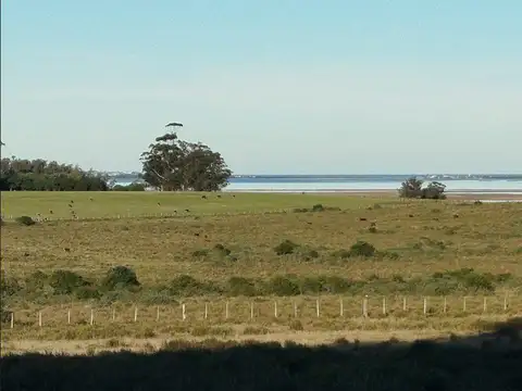 Campo en Venta en El Odre, Loventué