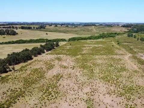 Campo en Venta en El Odre, Loventué