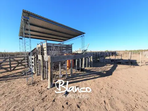Campo en Venta en La Reforma, Limay Mahuida