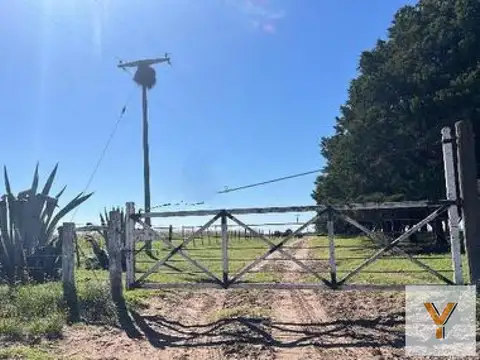 Campo en Venta en Toay, La Pampa