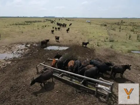 Campo en Venta en El Tigre, Realicó
