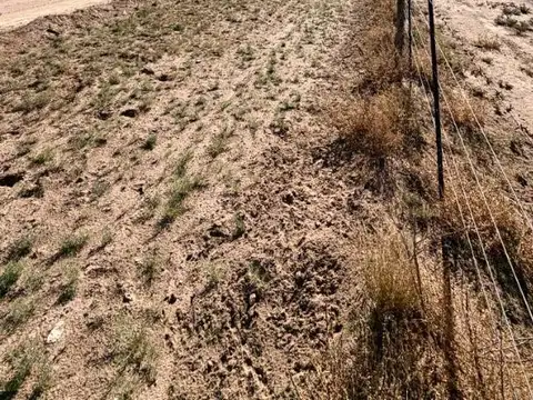 Campo en Venta en Puelches, Curacó
