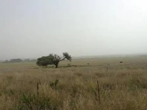 Casa en Venta en Abramo, Hucal