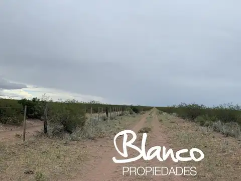 Casa en Venta en Santa Isabel, Chalileo