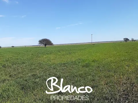 Casa en Venta en Winifreda, Conhelo