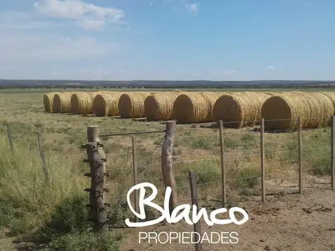 Casa en Venta en Winifreda, Conhelo