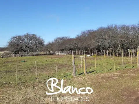 Casa en Venta en Winifreda, Conhelo