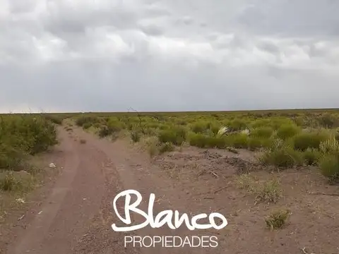 Casa en Venta en Gobernador Duval, Curacó