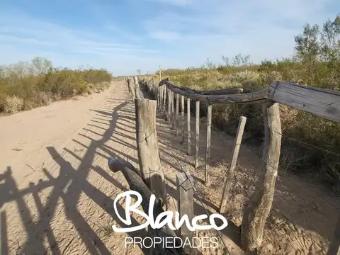 Casa en Venta en 25 de Mayo, Puelén