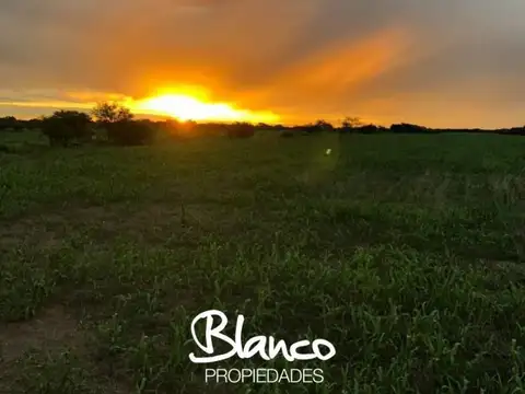 Casa en Venta en Gobernador Duval, Curacó