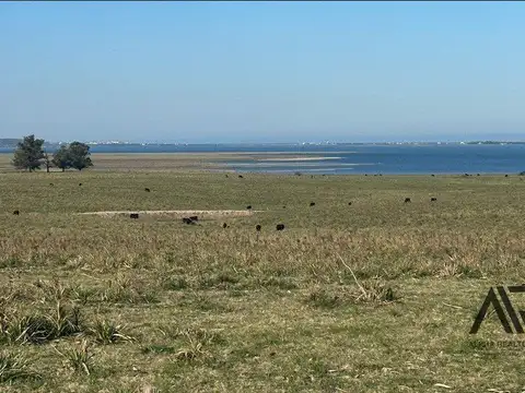 Terreno en Venta en Colonia el Porvenir, Loventué
