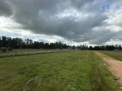 Terreno en Venta en Costa del Salado, Loventué