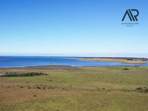 Terreno en Venta en Colonia el Porvenir, Loventué