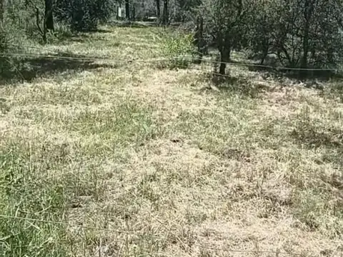 Terreno en Venta en Aparicio Cue, San Ignacio