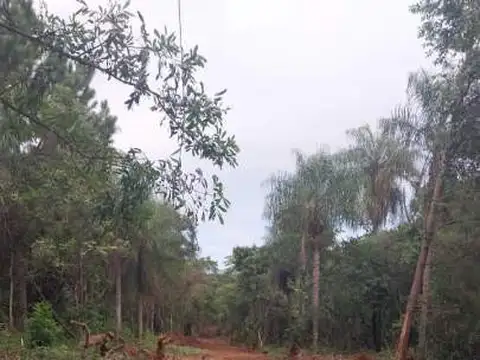 Terreno en Venta en Candelaria, Misiones