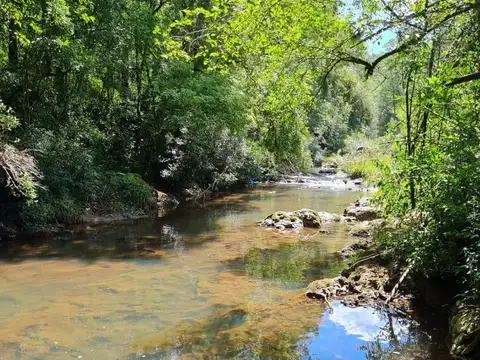 Campo en Venta en Aristobulo del Valle, Cainguás