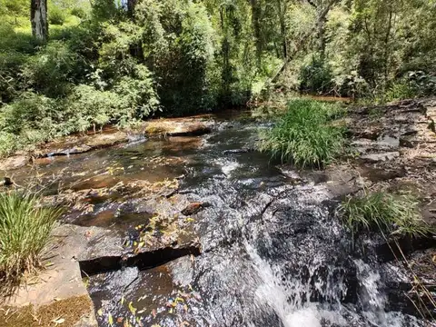 Campo en Venta en Aristobulo del Valle, Cainguás