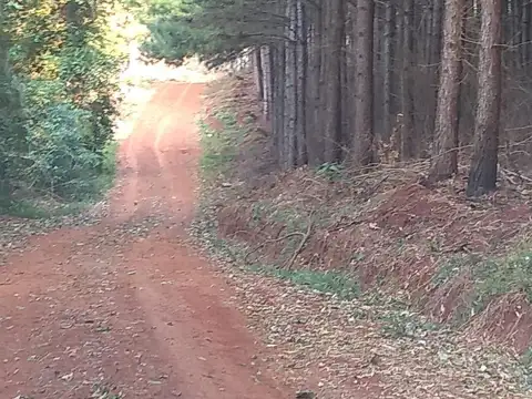 Campo en Venta en San Pedro, Misiones