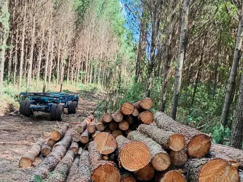 Campo en Venta en Eldorado, Misiones