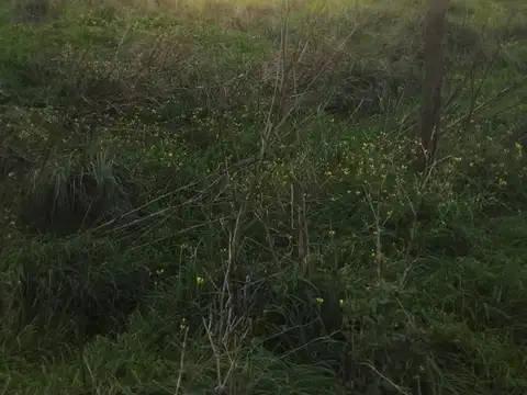 Terreno en Venta en Necochea, Partido de Necochea