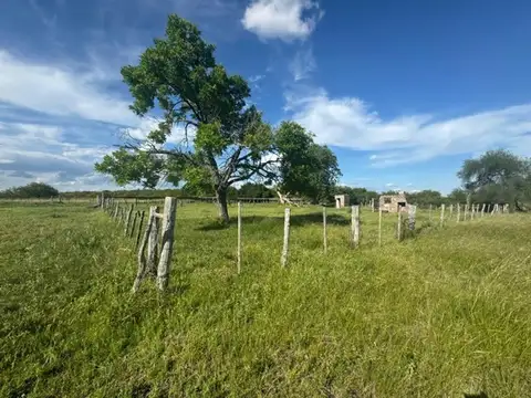 Campo en Venta en Sauce, Concepción