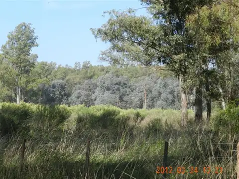 Campo en Venta en Paso de los Libres, Corrientes