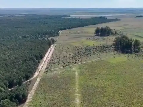 Campo en Venta en Santa Rosa, Concepción