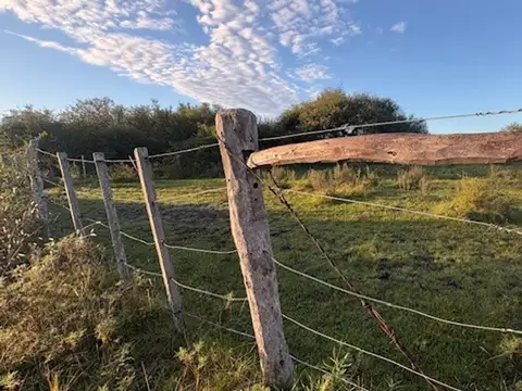 Campo en Venta en Sauce, Concepción