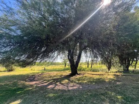 Campo en Venta en Libertador, Esquina