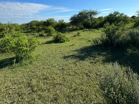 Campo en Venta en Sauce, Concepción
