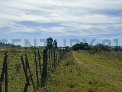 Campo en Venta en Bella Vista, Corrientes