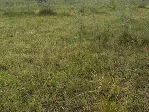 Campo en Venta en Libertador, Esquina