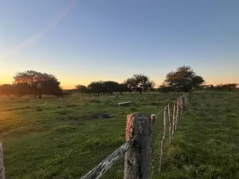 Campo en Venta en Sauce, Concepción