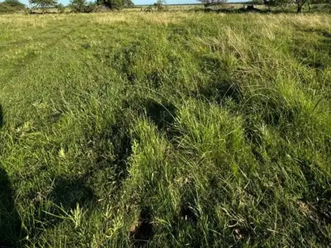 Campo en Venta en Sauce, Concepción