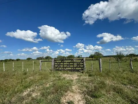 Campo en Venta en Curuzu Cuatia, Curuzú Cuatiá
