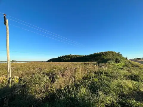 Campo en Venta en Santa Rosa, Concepción