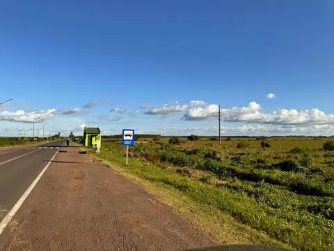 Campo en Venta en Angua, Saladas