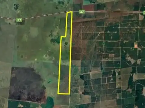 Campo en Venta en Gdor Ing V Virasoro, Santo Tomé