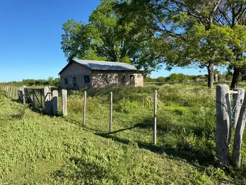 Campo en Venta en Sauce, Concepción