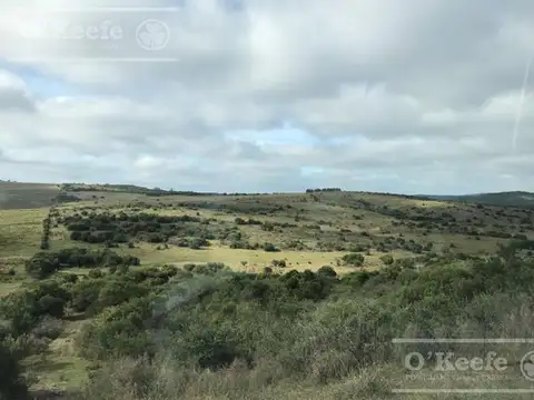 Campo en Venta en Uruguay, San Roque