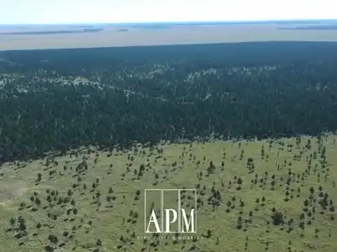 Campo en Venta en Puerto Valle, Ituzaingó