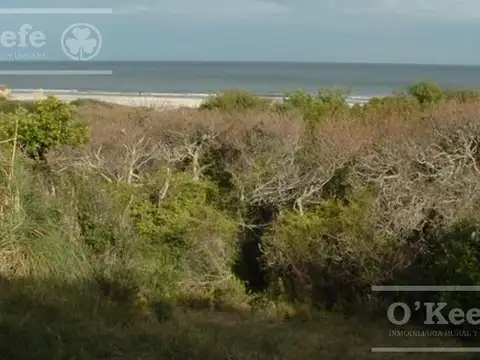 Campo en Venta en Uruguay, San Roque