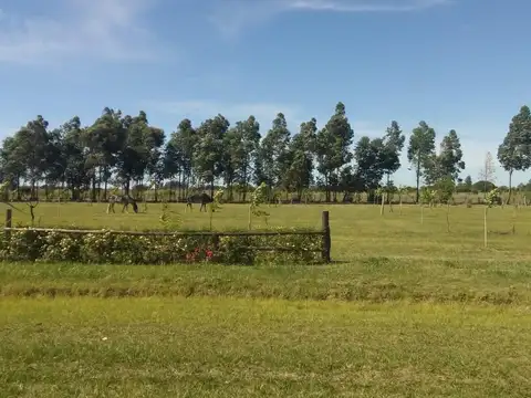 Terreno en Venta en Esquina, Corrientes