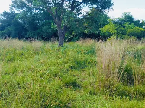 Terreno en Venta en Riachuelo, Capital