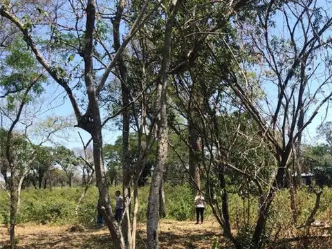 Terreno en Venta en Paso de la Patria, San Cosme