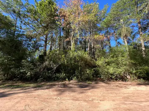 Terreno en Venta en Santa Ana, San Cosme