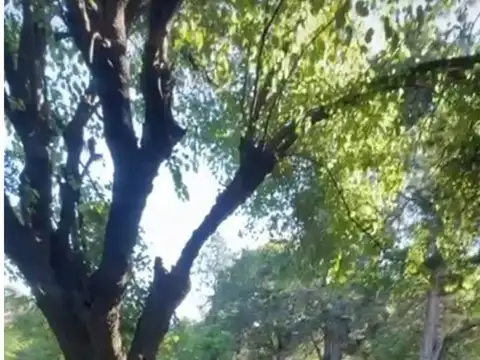 Terreno en Venta en Ituzaingo, Ituzaingó