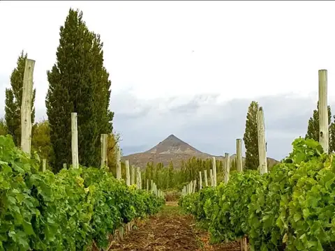Campo en Venta en Los Altares, Paso de Indios