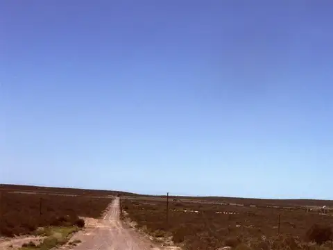 Campo en Venta en Puerto Madryn, Biedma