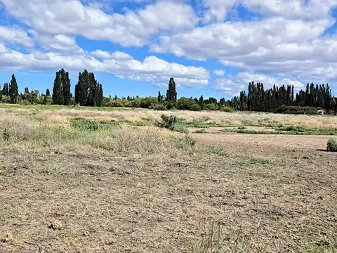 Campo en Venta en Gaiman, Chubut